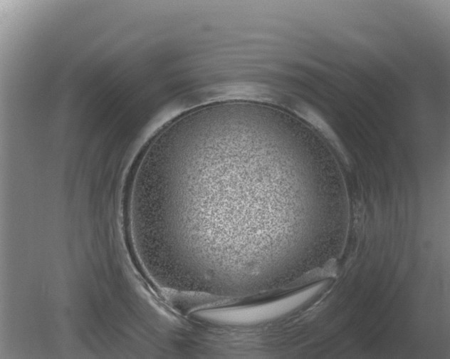 X0000080201043200612152035