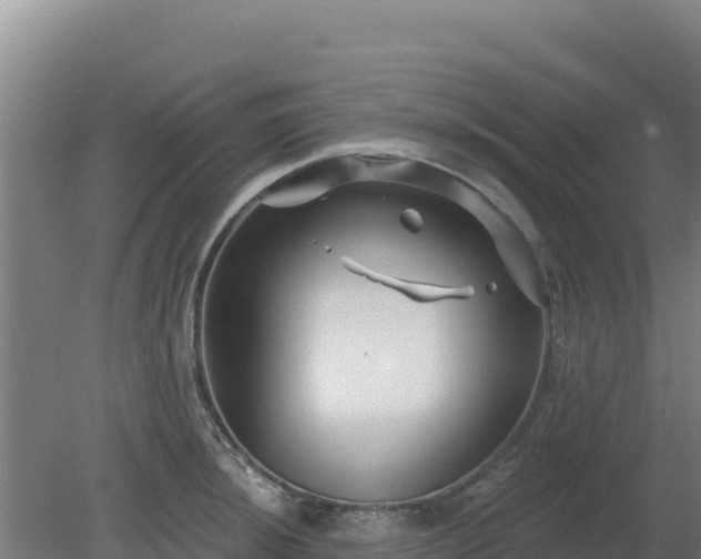 X0000080201044200612152035