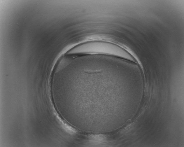 X0000080201045200612152035