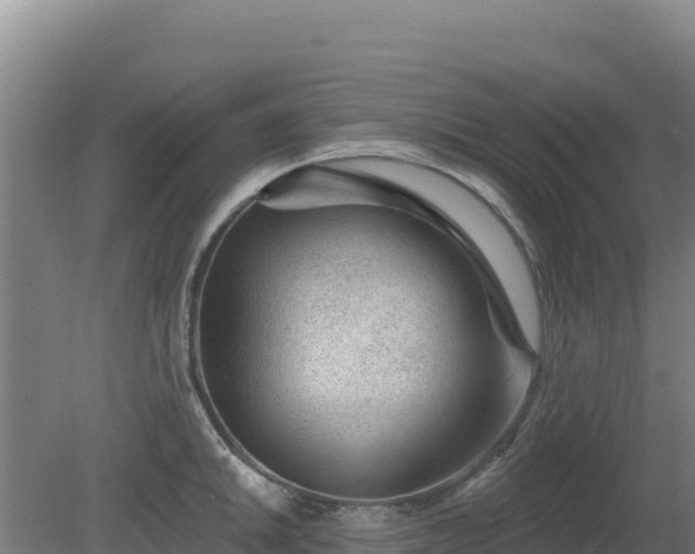 X0000080201046200612152035