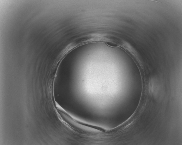 X0000080201049200612152035