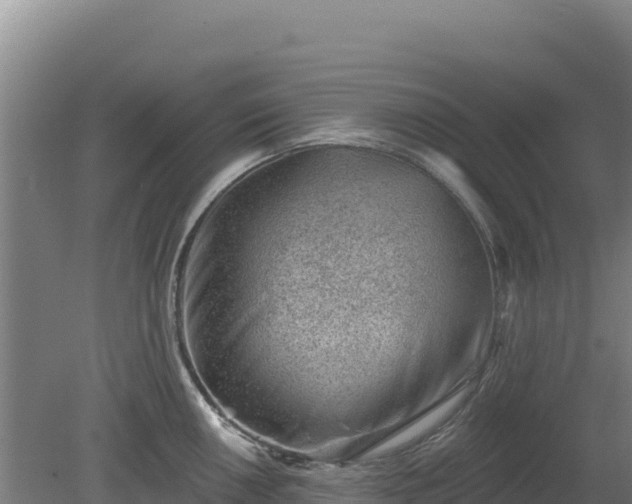 X0000080201050200612152035