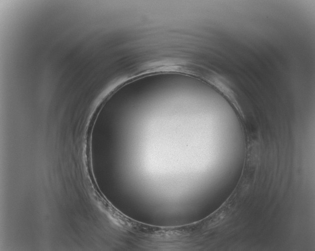 X0000080201051200612152035