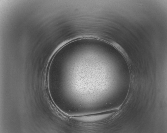 X0000080201052200612152035