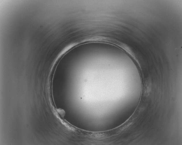 X0000080201053200612152035