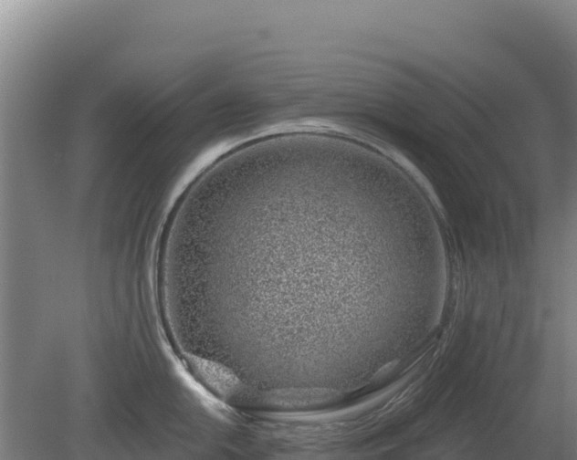 X0000080201054200612152035