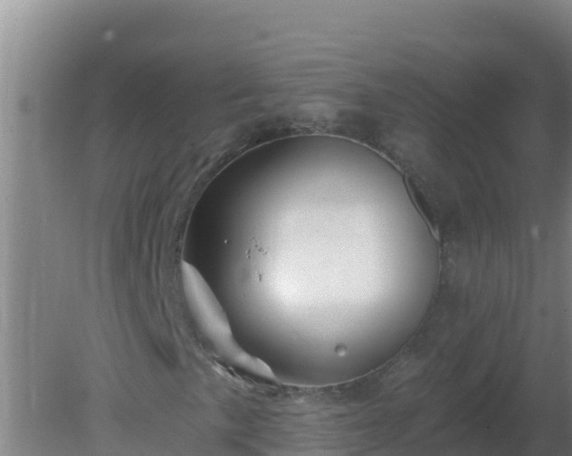 X0000080201057200612152034