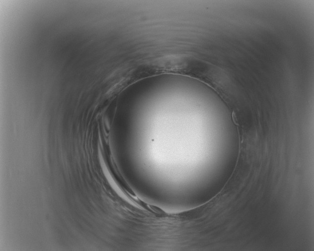 X0000080201058200612152034