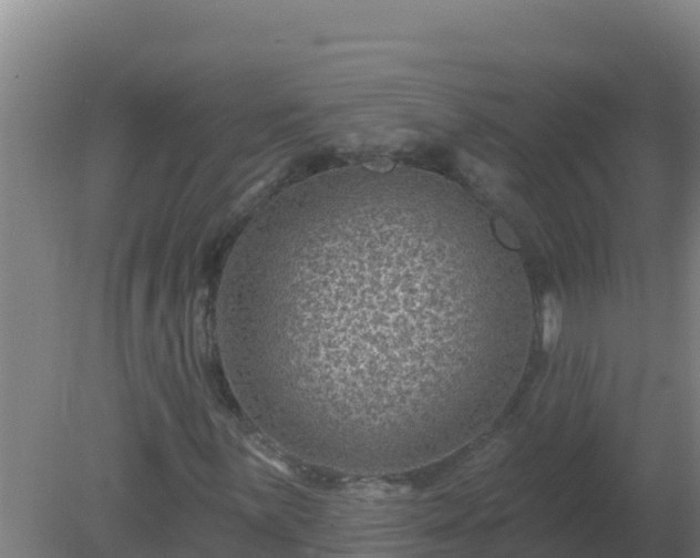 X0000080201059200612152034