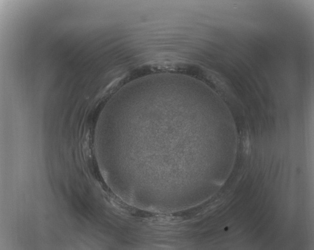 X0000080201060200612152034