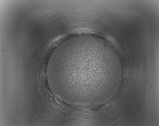 X0000080201063200612152034