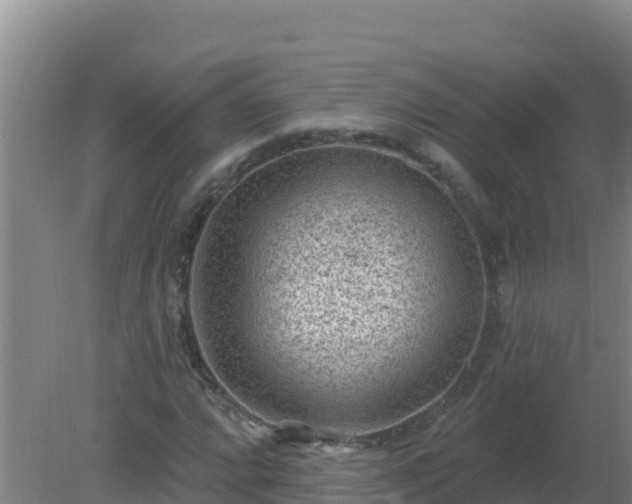 X0000080201064200612152034