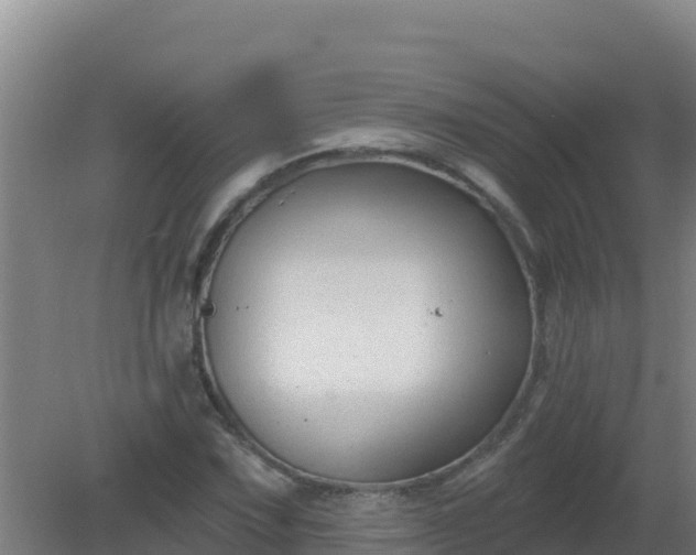 X0000080201067200612152034