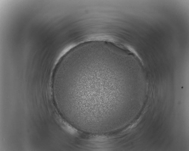 X0000080201071200612152034