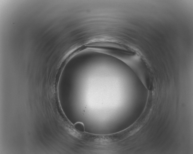 X0000080201073200612152034