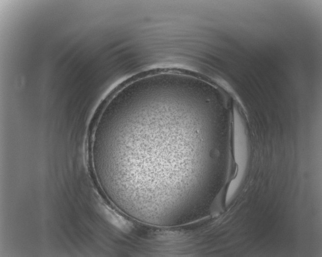 X0000080201076200612152034