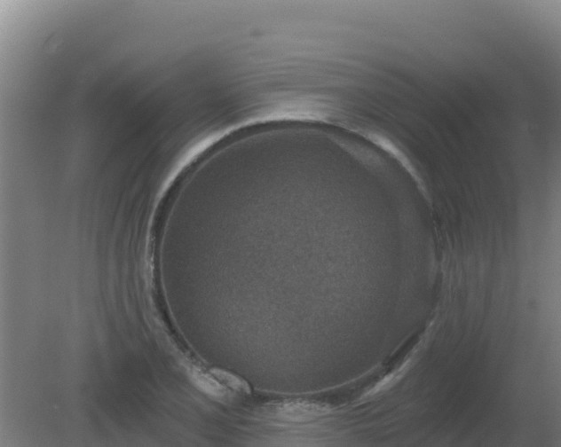 X0000080201077200612152034