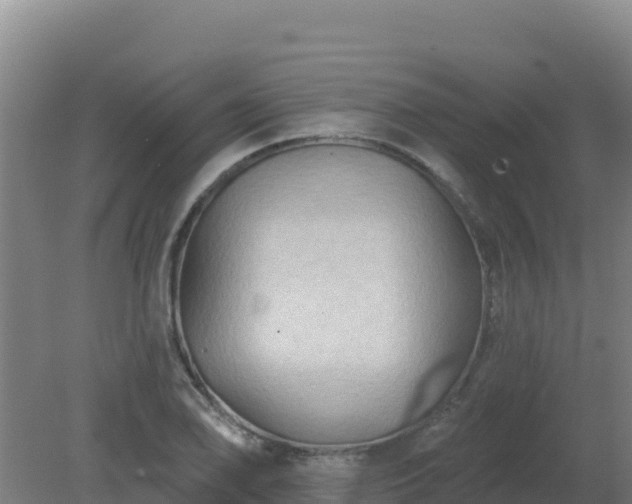 X0000080201078200612152034