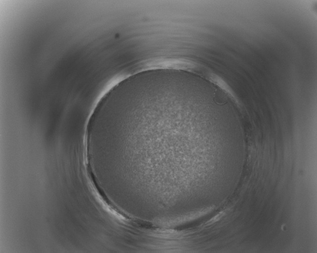 X0000080201079200612152034