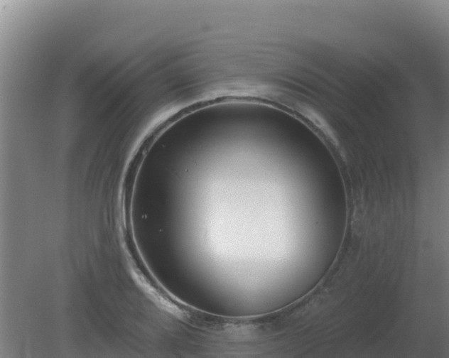 X0000080201080200612152034