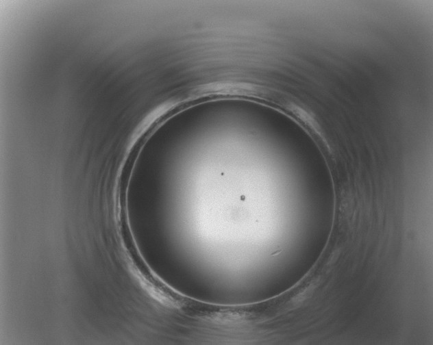 X0000080201082200612152034