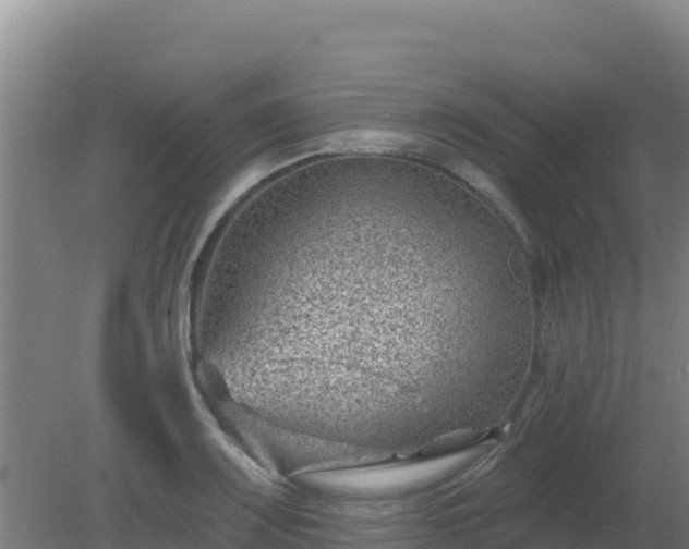 X0000080201083200612152034