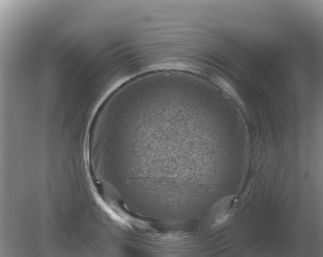 X0000080201084200612152034