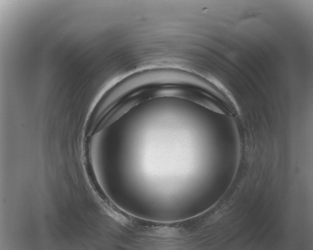 X0000080201085200612152034