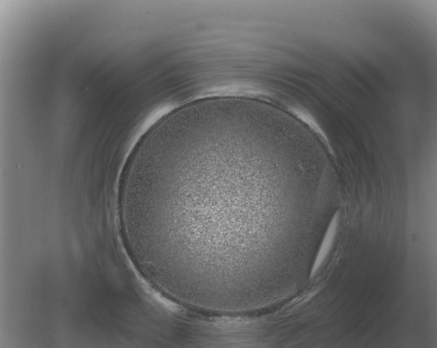 X0000080201087200612152034