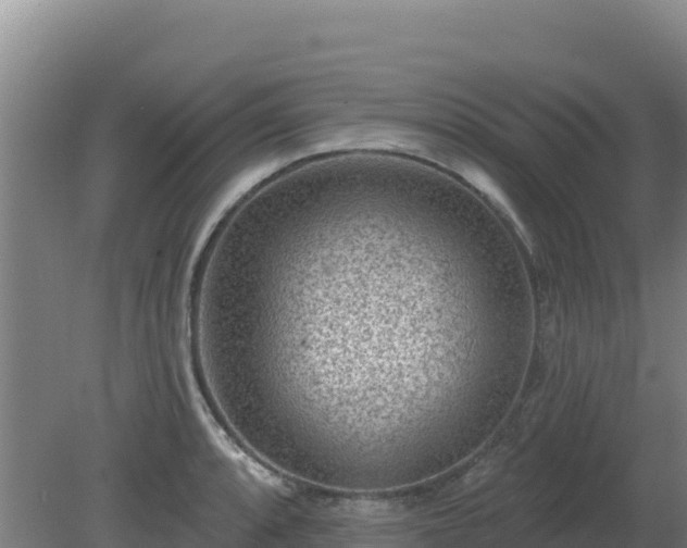 X0000080201088200612152034