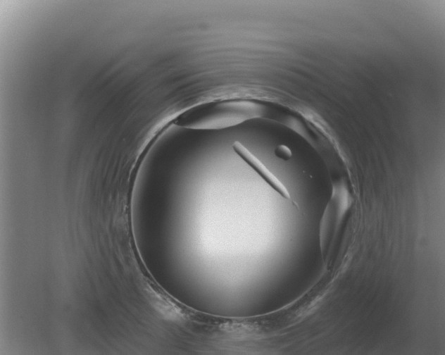 X0000080201089200612152034