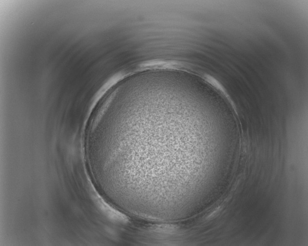 X0000080201090200612152034