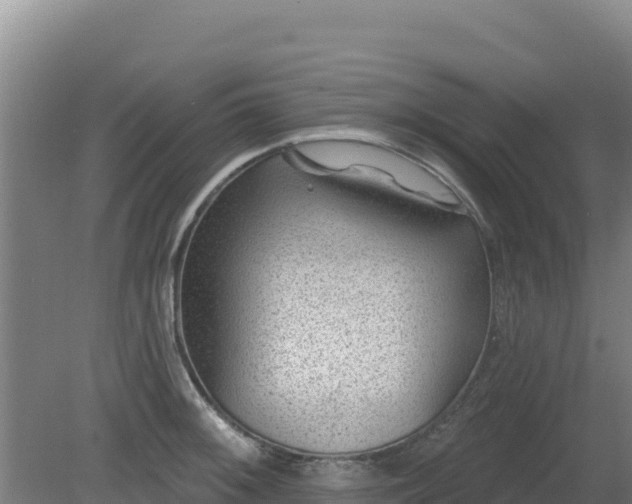 X0000080201092200612152034