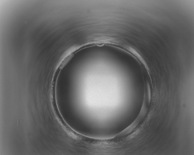 X0000080201093200612152034