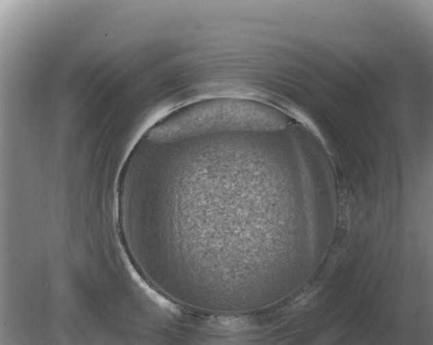 X0000080201095200612152034