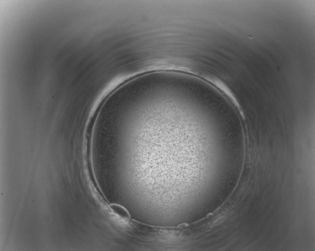 X0000080201096200612152034