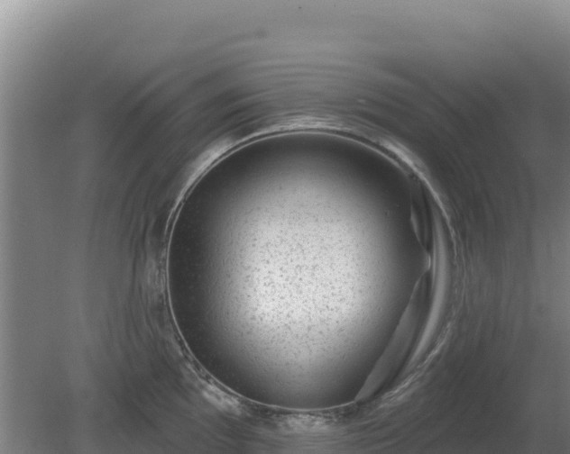 X0000080201097200612152034