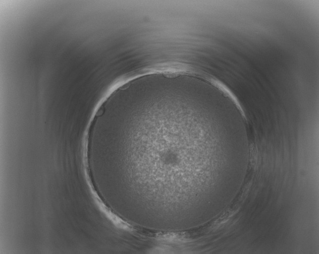 X0000080201099200612152034