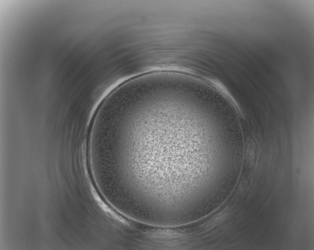 X0000080201100200612152034