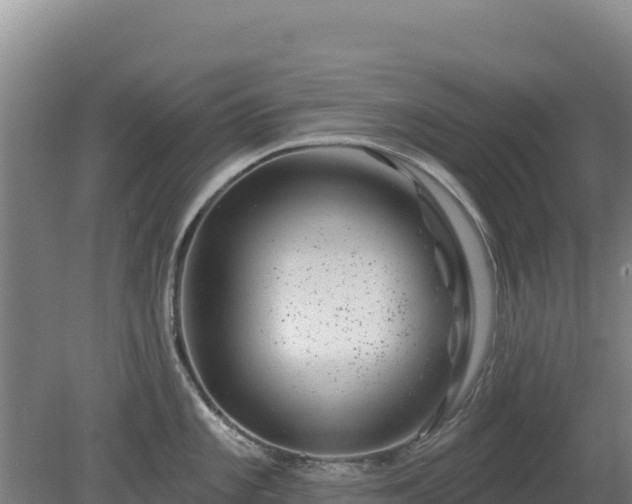 X0000080201101200612152033