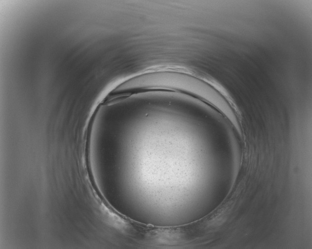 X0000080201102200612152033