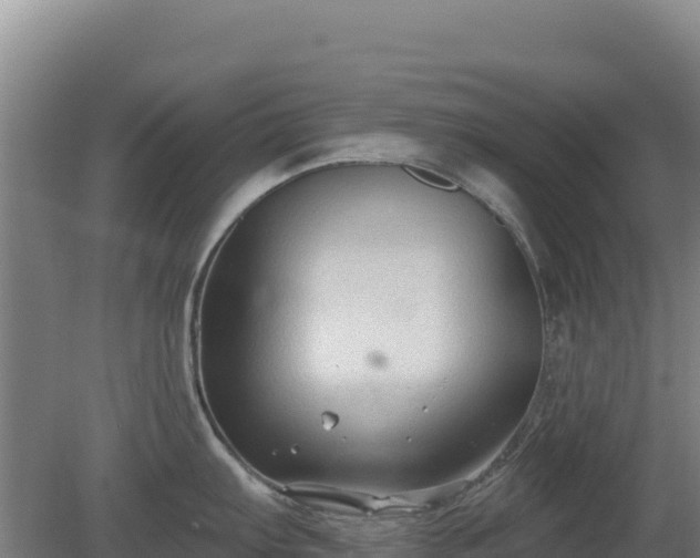 X0000080201103200612152033