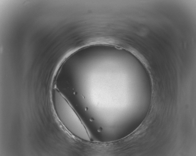 X0000080201104200612152033