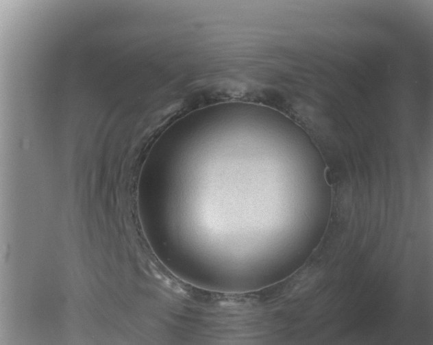 X0000080201105200612152033