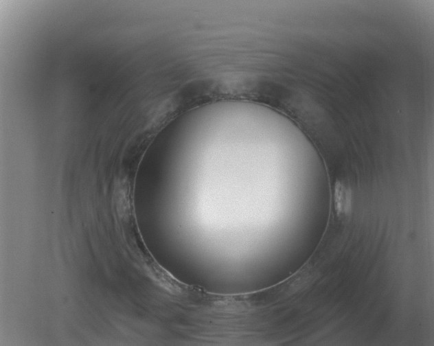 X0000080201107200612152033