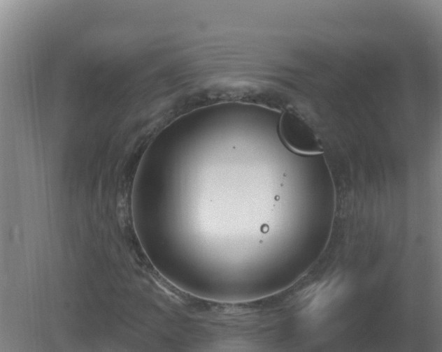 X0000080201109200612152033