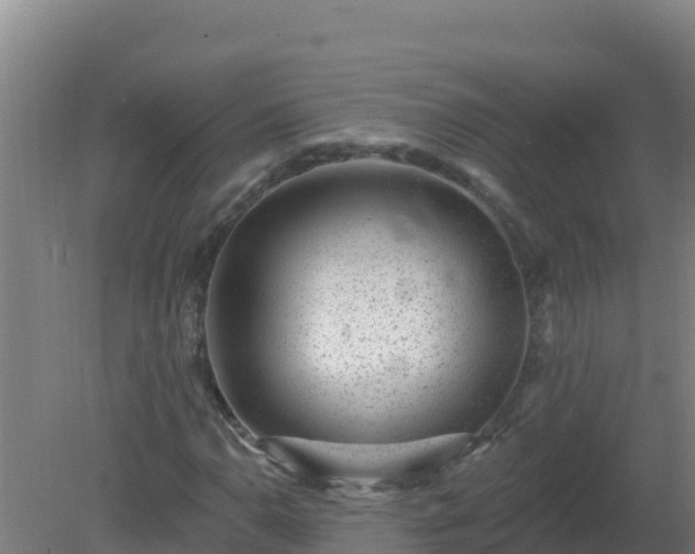 X0000080201110200612152033