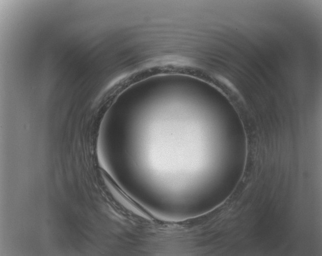 X0000080201112200612152033