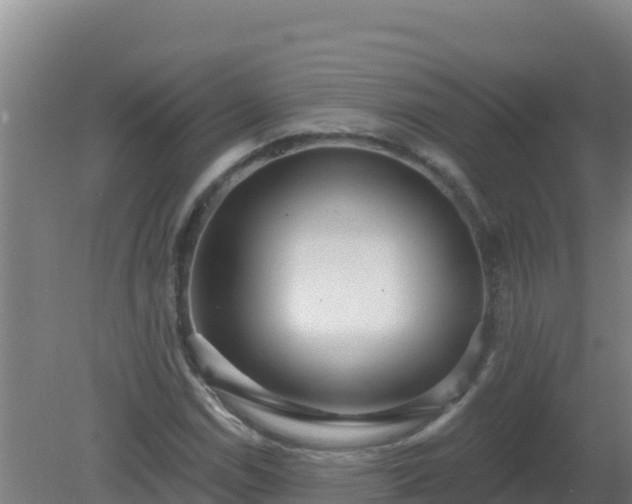 X0000080201114200612152033