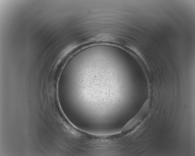 X0000080201115200612152033